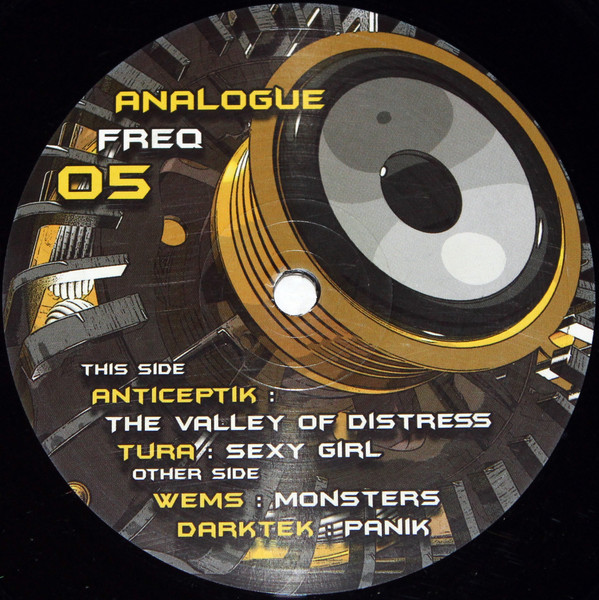 Analog Frequencies 05 RP - vinyle hardtek